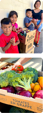 food-share-2025-asset-what-is-foodshare-image-1