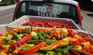 food-share-special-initiatives-image-2